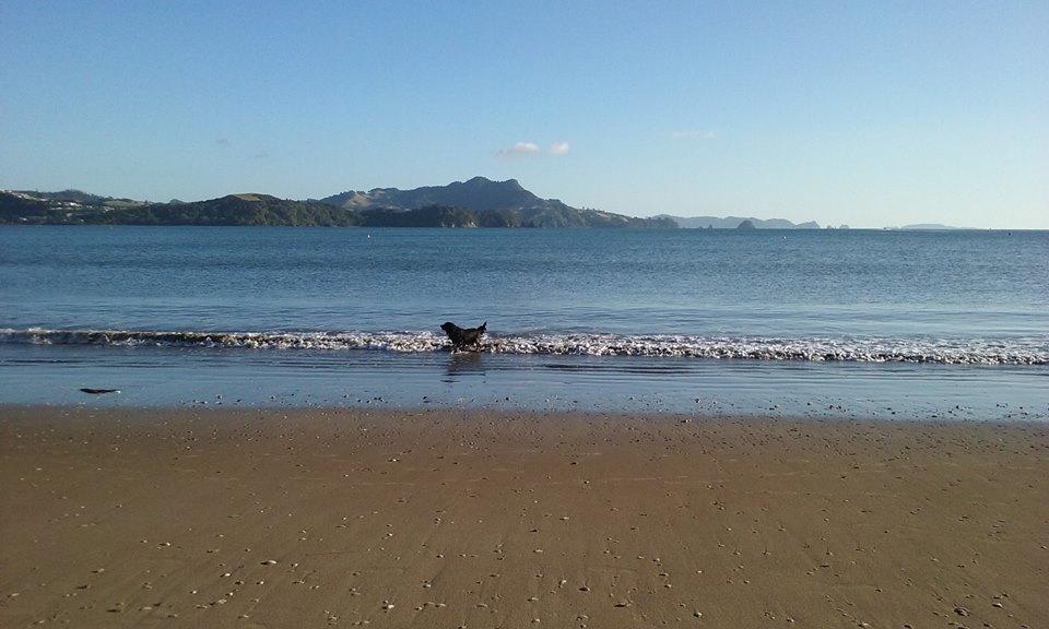 Whitianga Motel Εξωτερικό φωτογραφία